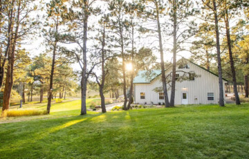 Barn house in forest setting