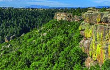 Person sitting on a rocky cliff edge overlooking a lush green forest under a clear blue sky.